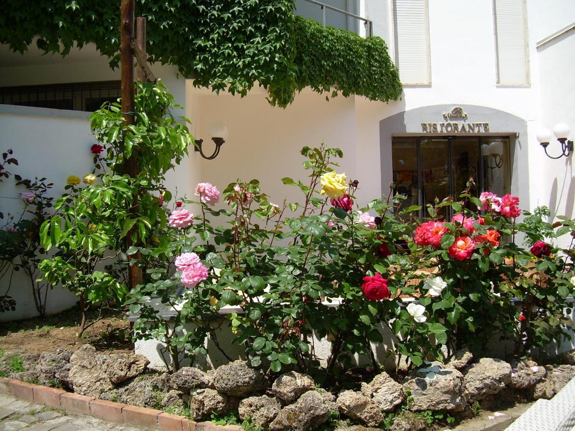 Hotel Baia Palinuro Exterior foto